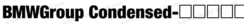 BMWGroup Condensed字体转换